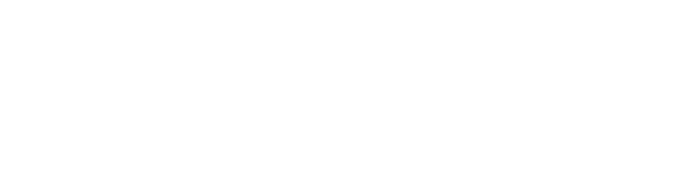 American Eagle Enterprises Logo